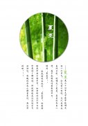 环亚琅文夏至活动报名了