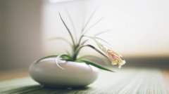商务英语|双方让步