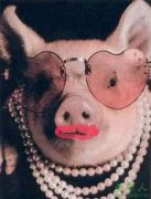 谚语：给猪涂口红 lipstick on a pig