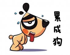 信不信由你 压力过大也会导致肥胖!